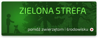 Zielona strefa