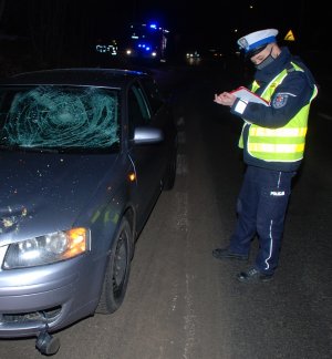 policjant podczas oględzin pojazdu