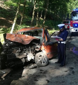 policjantka podczas oględzin pojazdu