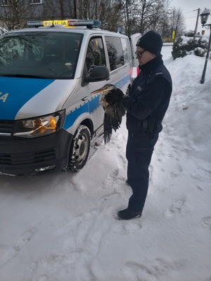 radiowóz policyjny i policjant z uratowaną czaplą