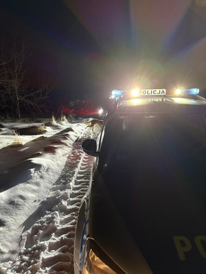 policjanci podczas akcji poszukiwawczej